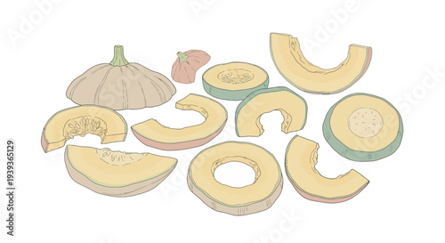 Sliced Melon Fruits on White Background.