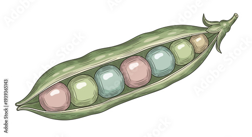 Pea Pod with Colorful Peas Inside.