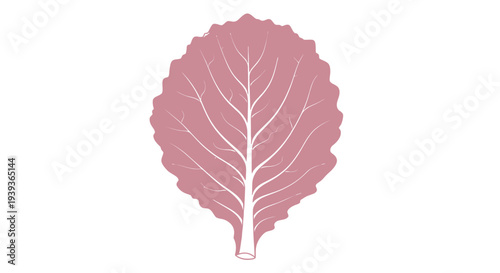 Pink Leaf Illustration with White Veins.