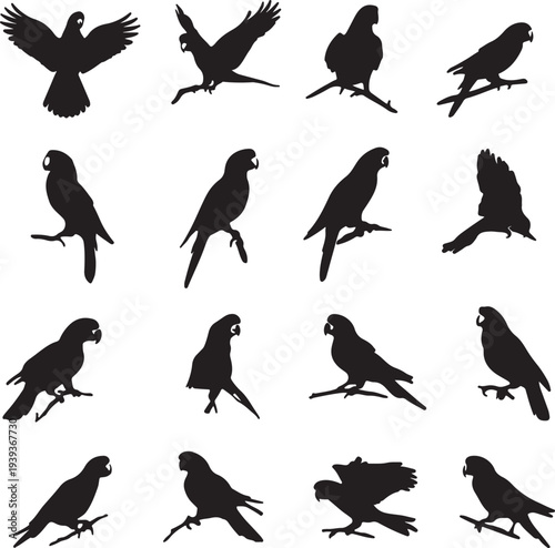 Twelve black parrot silhouettes flying perched vector illustration flat design bird art scalable graphic