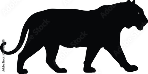 Tiger silhouette walking in profile with curved tail and visible eye, vector illustration for wildlife, nature, animal, motion, design