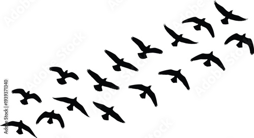Vector illustration of stylized bird silhouettes symbolizing migration, freedom, nature, identity, diversity, culture, tradition, inclusivity, and education