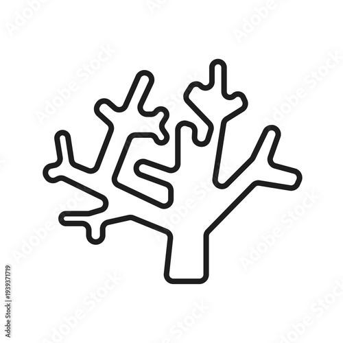 coral