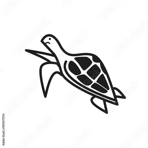 sea turtle