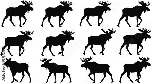 Vector illustration of stylized moose silhouettes symbolizing wildlife, diversity, identity, culture, tradition, inclusivity, recognition, and education
