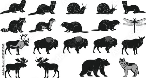 Wildlife animal silhouettes collection with otters, snails, weasel, raccoon, beavers, deer, bison, elk, moose, bear, wolf, dragonfly illustration design