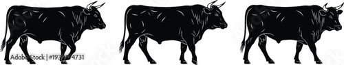 Bull silhouettes in different stances, vector illustration of livestock, agriculture, farm animal design for rural, breeding, symbolic artwork