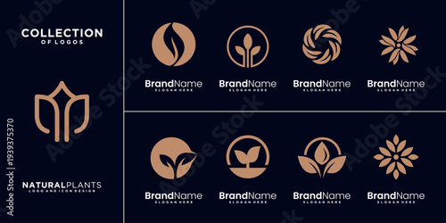 Luxury flower logo design collection.