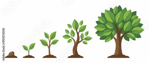 This illustration shows the growth stages of a plant from seed to a fully grown tree, showcasing nature's life cycle and the beauty of development in the natural world.