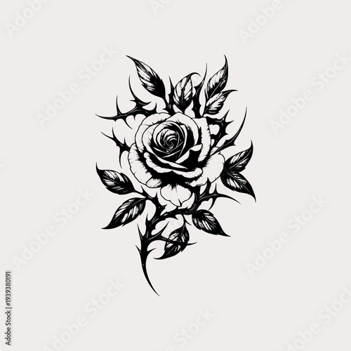 Blooming rose with sharp thorns and leaves illustration