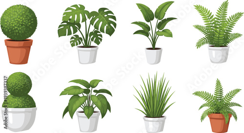 Black silhouette illustration of eight different potted plants including topiary, monstera, banana, fern, leafy, spiky grass, symbolizing houseplants, gardening, decoration, and creative artwork pro