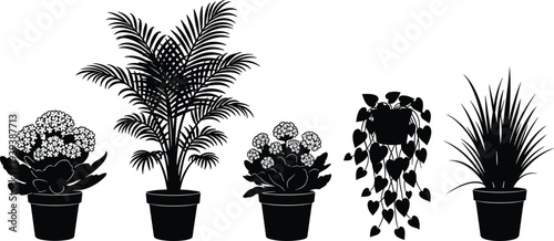 Black silhouette illustration of five different potted plants including flowering clusters, palm fronds, hanging leaves, and spiky foliage, symbolizing houseplants, gardening, nature, and decorative a