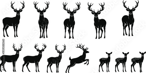 Deer silhouettes in diverse poses, antlered stags, leaping deer, fawns, wildlife illustration, animal posture, nature theme, vector design, artistic silhouettes, forest concept