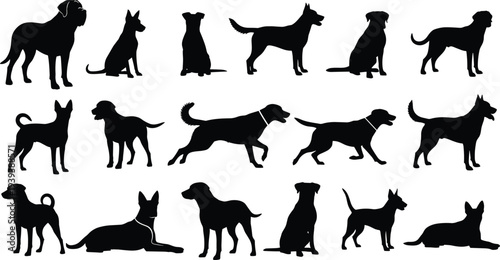 Dog silhouettes in diverse poses, sitting, standing, running, lying down, multiple breeds, pet animals, domestic dogs, vector illustration