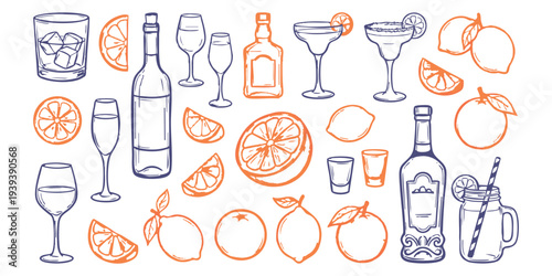 Hand drawn drinks cocktails wine bottles and sliced citrus fruits sketch set vector illustration
