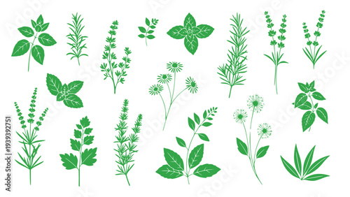 Collection of various green silhouettes of herbs and plants on a plain white background, suitable for design elements and decorations.
