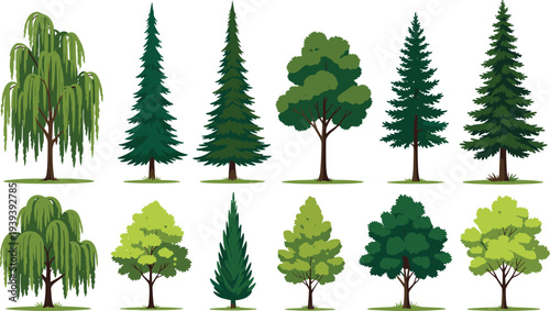 Collection of twelve illustrated trees in diverse styles and colors, showcasing coniferous, broadleaf, and willow varieties for educational, botanical, landscape, and environmental design purposes.
