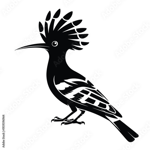 A striking black and white illustration of a hoopoe bird in profile