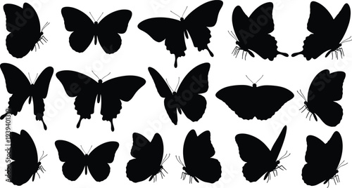 “Butterfly silhouettes, diverse wing shapes, insect icons, entomology design, vector illustration, nature graphic, decorative art, classification element”