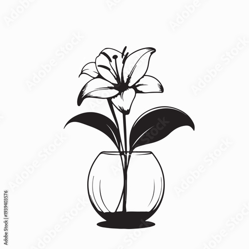 Lily Flower In Transparent Vase Image Vector On White Background