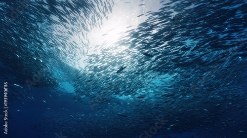 Massive school of sardines moving in unison through deep blue ocean water. wildlife magazines, conservation campaigns, designed for eco-tourism storytelling, used by creative directors.