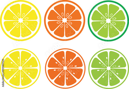 Vibrant illustration of six citrus fruit slices in two rows on a white background
