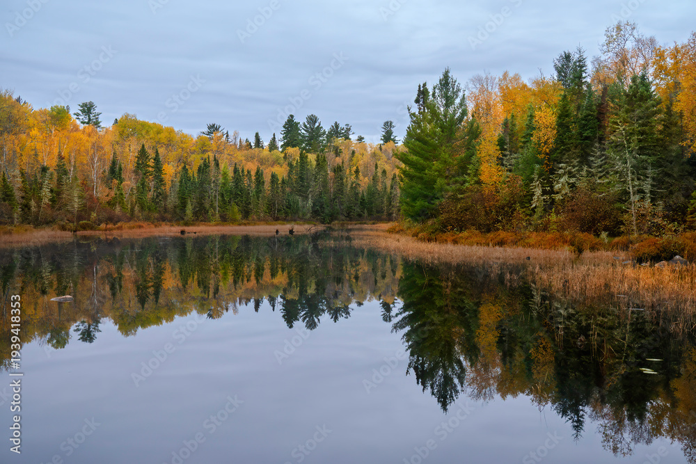 Obraz premium autumn trees reflecting in lake water. 