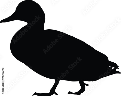 Duck silhouette vector illustration isolated on light background, side view waterfowl bird shape icon for wildlife design, nature logo, animal stencil and farm bird graphic