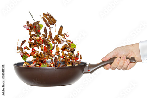 A chef fry insects with ingredients on a pan, isolated on a white background