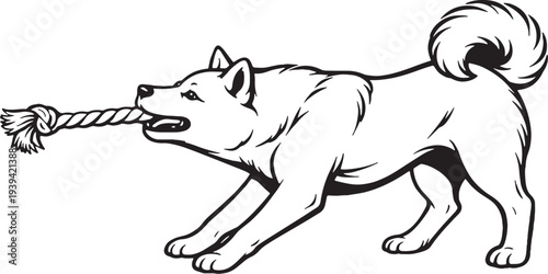 Shiba Inu Tugging Rope Pull Stance Side View Black and White Line Art Illustration