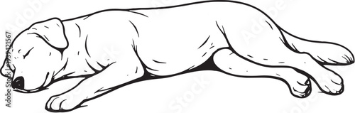 Dog Sleeping On Side Relaxed Pose Black and White Line Art Illustration