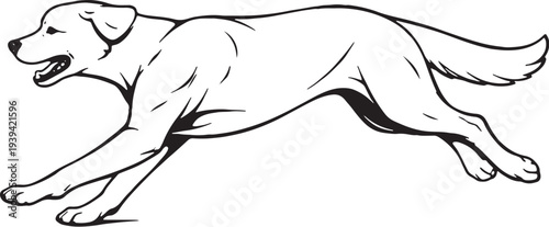Dog Running Sprint Side View Black and White Line Art Illustration