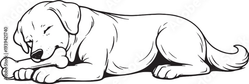 Dog Chewing Bone Lying Down Side View Black and White Line Art Illustration