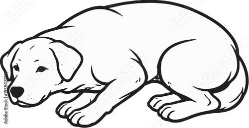 Dog Crouching Fearful With Tail Tucked Black and White Line Art