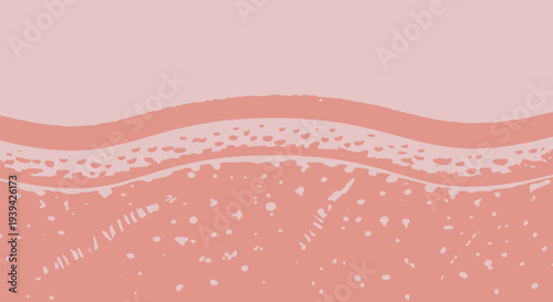 Human skin texture layers illustration.