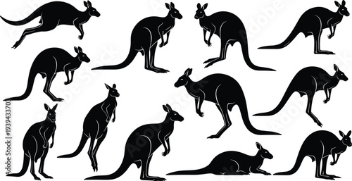 Black kangaroo silhouettes in multiple poses, standing, hopping, crouching, lying down, wildlife vector illustration, animal art, Australian nature design