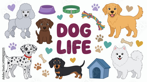 Cute vector set of diverse dog breeds with pet accessories and dog life text on white background, concept for pet shop branding, veterinary clinic marketing and animal nursery decor