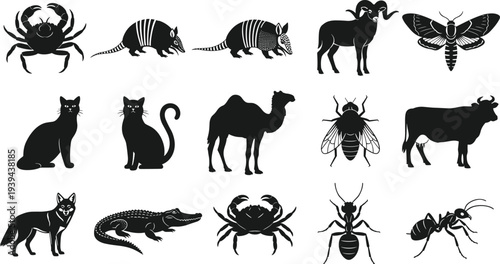 silhouette collection, domestic pet vector artwork, insect and reptile design, marine and land creatures illustration, black silhouette animal dra