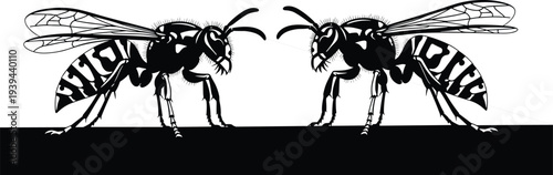 Black and white wasp illustration, insect vector artwork, symmetrical entomology design, detailed insect drawing, scientific wasp morphology sketch, stylized insect silhouette