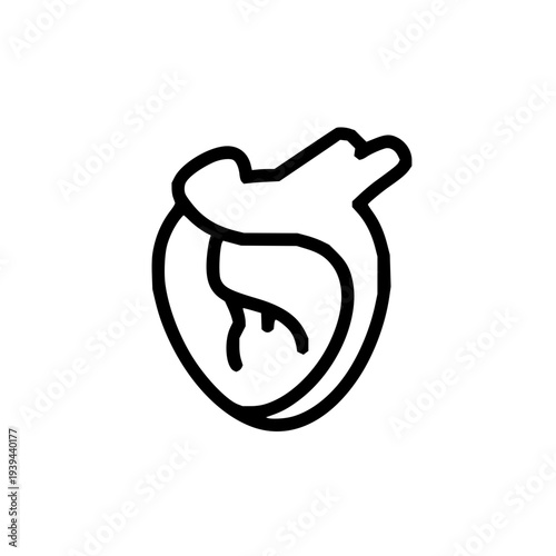 Minimalist outline illustration of a human heart, serving as a clean anatomical symbol for cardiology, health, and medical science concepts in digital designs