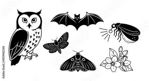 Seasonal Weather Transition and Nocturnal Wildlife Illustration Set