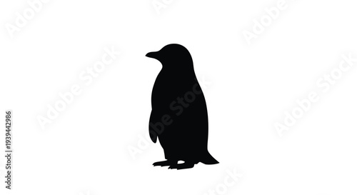 A solitary penguin stands prominently against a white background silhouette