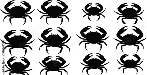 Crab silhouette grid illustration, marine wildlife artwork, aquatic animal design concept, ocean biodiversity study, nature taxonomy pattern educational decoration