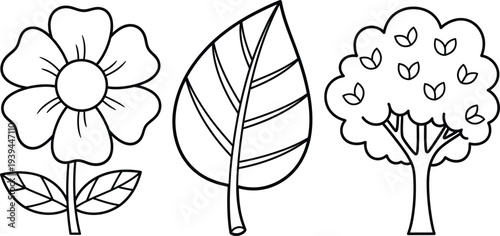 Colouring page for kids beautiful flower leaf and tree illustration