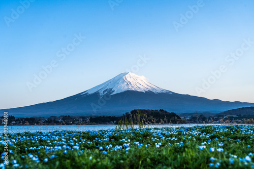 Mount Fuji with snow on the peak , watching from the Oishi park