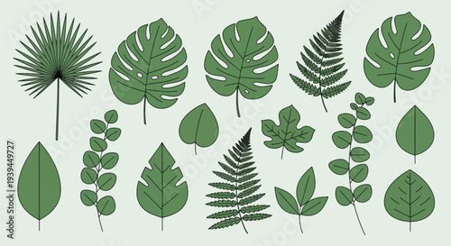 Assortment of Green Tropical Leaves Botanical Collection.