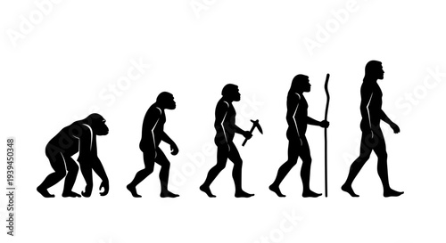 Human Evolution Stages: From Ape to Modern Human, Illustrating Progression