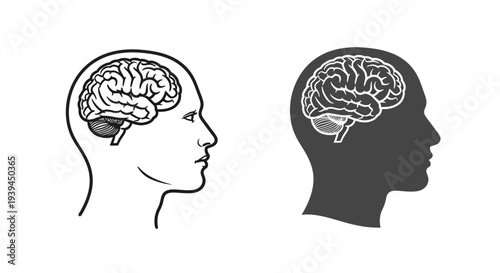 Human Head Silhouette with Detailed Brain Outline and Dark Shadow Profile