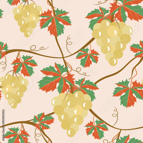Vector - grape berries with leaves seamless pattern.