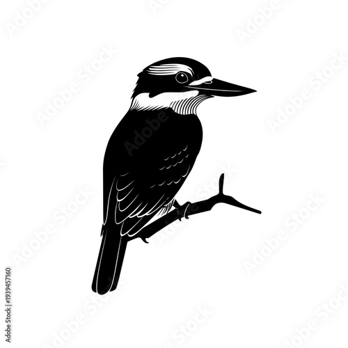 Kookaburra Australian Bird Wildlife Silhouette Vector Art